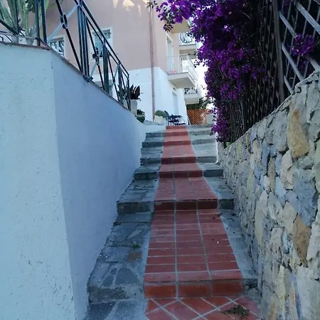 Un Mare Di Fiori