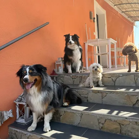Farm stay Un Mare Di Fiori