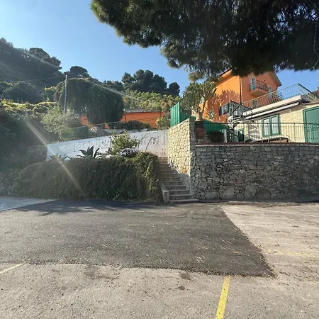 Un Mare Di Fiori Ventimiglia