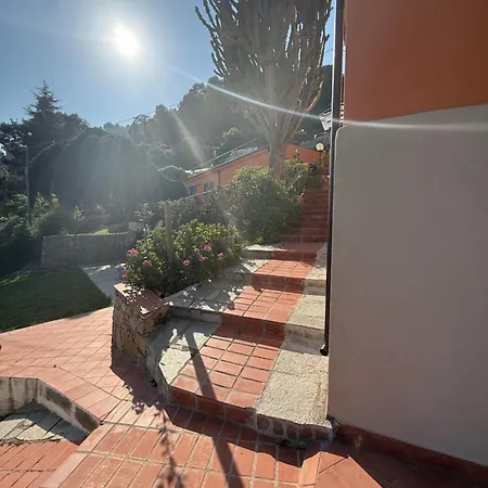 Un Mare Di Fiori