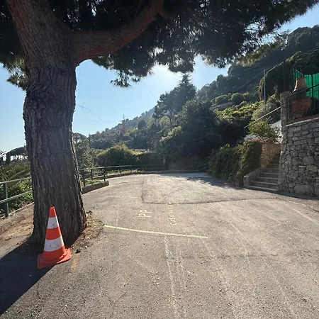 Un Mare Di Fiori