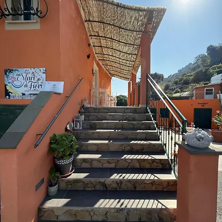 Un Mare Di Fiori