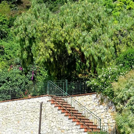 Un Mare Di Fiori *