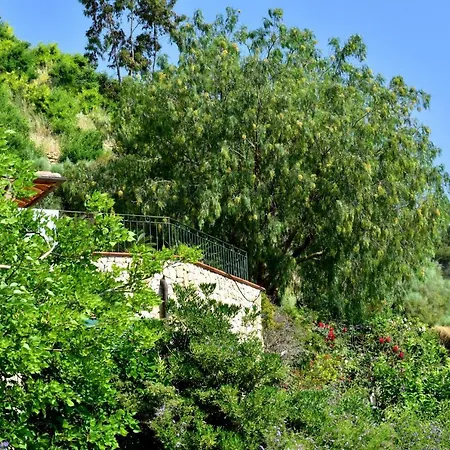 Un Mare Di Fiori *