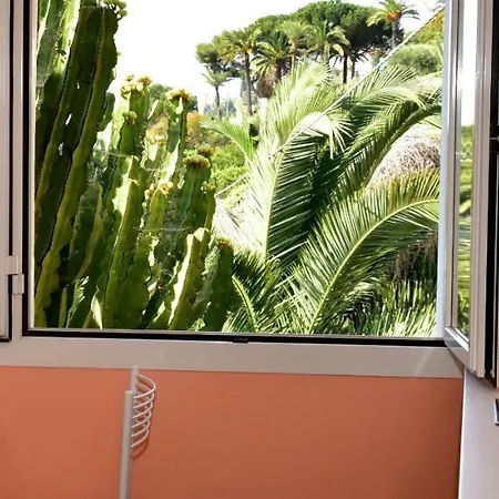 Un Mare Di Fiori *