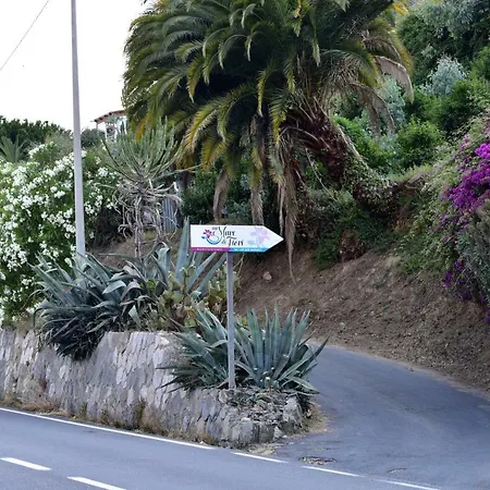 Un Mare Di Fiori Ventimiglia