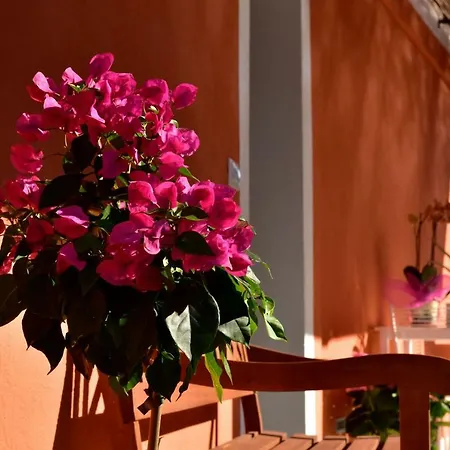 Κατάλυμα σε φάρμα Un Mare Di Fiori