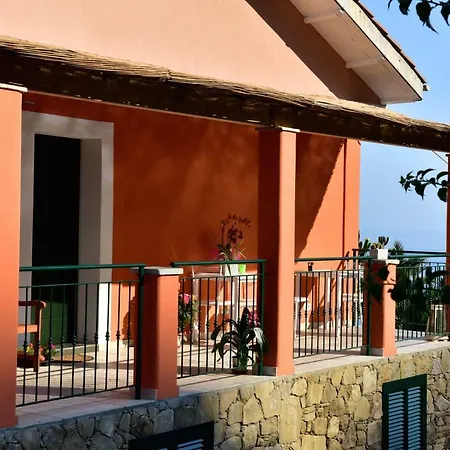 Un Mare Di Fiori