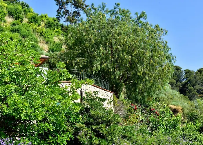 Un Mare Di Fiori *