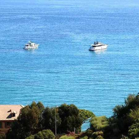 Un Mare Di Fiori *