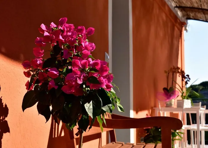 ファームステイ Un Mare Di Fiori