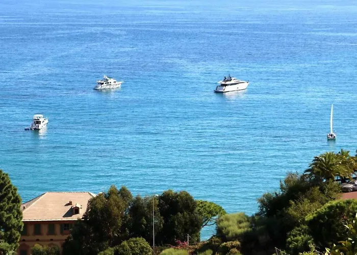 Un Mare Di Fiori *