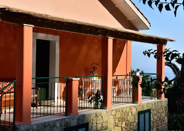 Un Mare Di Fiori
